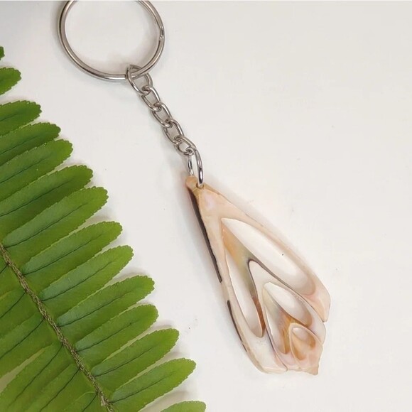 Seashell Keyring Slice Conch Seashell Clearwater Beach, Florida - Picture 8 of 13